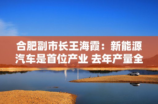合肥副市长王海霞：新能源汽车是首位产业 去年产量全国第二