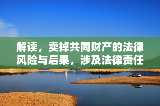 解读，卖掉共同财产的法律风险与后果，涉及法律责任分析