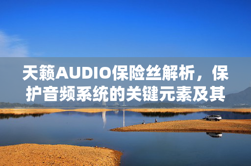 天籁AUDIO保险丝解析，保护音频系统的关键元素及其功能介绍