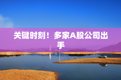 关键时刻！多家A股公司出手