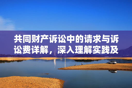 共同财产诉讼中的请求与诉讼费详解，深入理解实践及诉讼请求与共同财产诉讼费概览