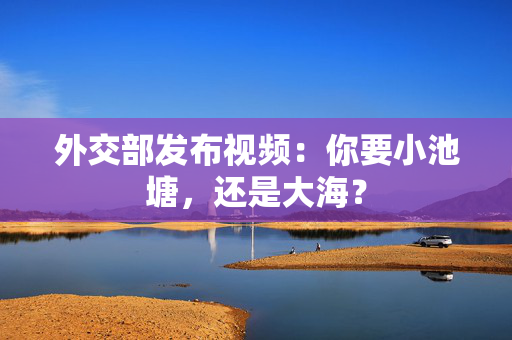 外交部发布视频：你要小池塘，还是大海？