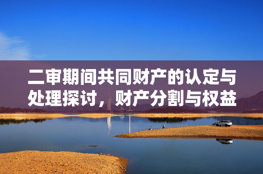 二审期间共同财产的认定与处理探讨，财产分割与权益保障的关键环节解析