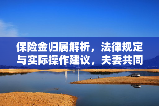 保险金归属解析，法律规定与实际操作建议，夫妻共同财产探讨