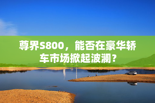 尊界S800，能否在豪华轿车市场掀起波澜？