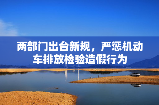 两部门出台新规，严惩机动车排放检验造假行为