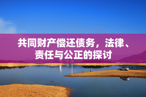共同财产偿还债务，法律、责任与公正的探讨