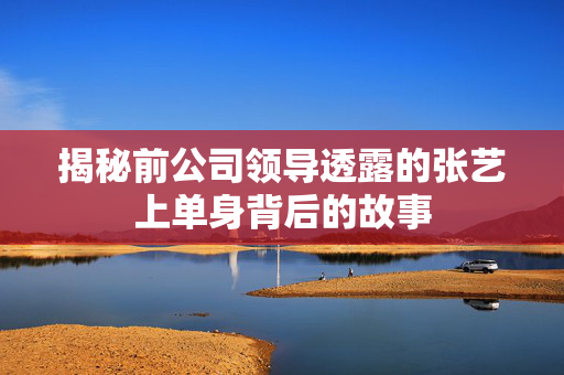 揭秘前公司领导透露的张艺上单身背后的故事