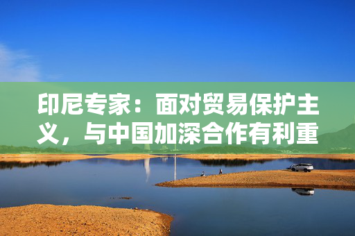 印尼专家：面对贸易保护主义，与中国加深合作有利重塑全球经济格局