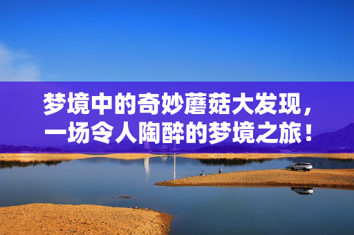 梦境中的奇妙蘑菇大发现，一场令人陶醉的梦境之旅！
