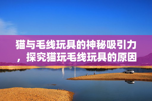 猫与毛线玩具的神秘吸引力，探究猫玩毛线玩具的原因，注，这个标题简洁明了，直接表达了文章的核心内容，即探究猫为什么会玩毛线玩具的原因。