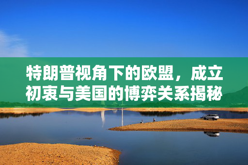 特朗普视角下的欧盟，成立初衷与美国的博弈关系揭秘