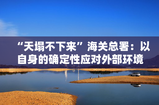 “天塌不下来”海关总署：以自身的确定性应对外部环境的不确定性