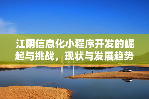 江阴信息化小程序开发的崛起与挑战，现状与发展趋势分析