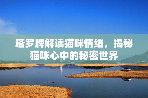 塔罗牌解读猫咪情绪，揭秘猫咪心中的秘密世界