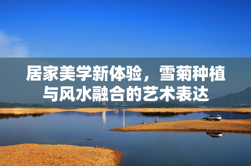 居家美学新体验，雪菊种植与风水融合的艺术表达
