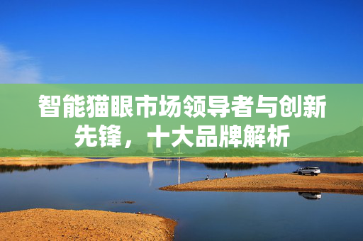 智能猫眼市场领导者与创新先锋，十大品牌解析