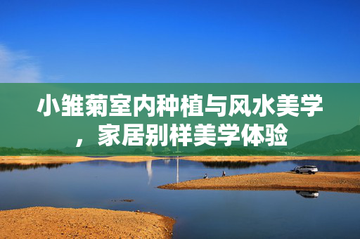 小雏菊室内种植与风水美学，家居别样美学体验