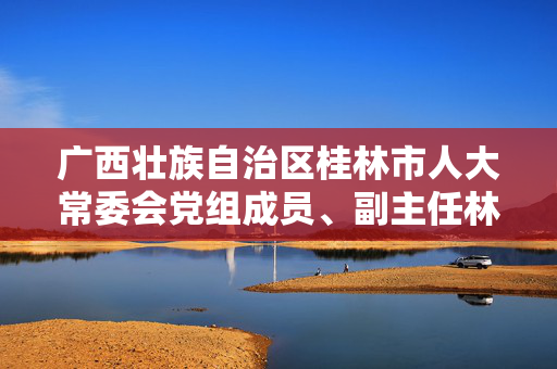 广西壮族自治区桂林市人大常委会党组成员、副主任林武民被查
