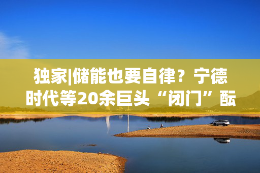 独家|储能也要自律？宁德时代等20余巨头“闭门”酝酿倡议