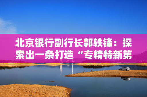 北京银行副行长郭轶锋：探索出一条打造“专精特新第一行”的差异化发展道路