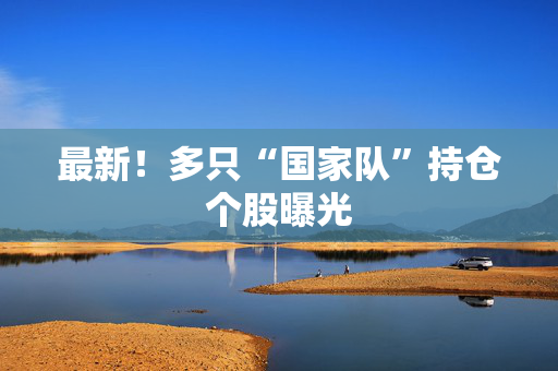 最新！多只“国家队”持仓个股曝光