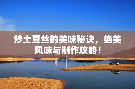 炒土豆丝的美味秘诀，绝美风味与制作攻略！
