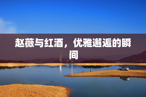赵薇与红酒，优雅邂逅的瞬间