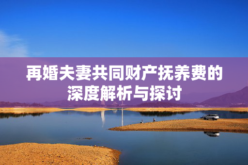 再婚夫妻共同财产抚养费的深度解析与探讨