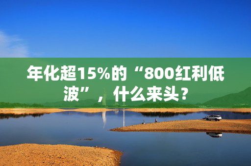 年化超15%的“800红利低波”，什么来头？
