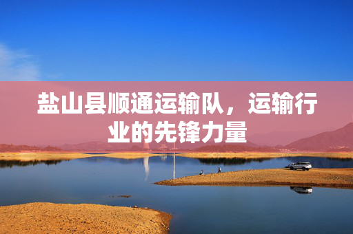 盐山县顺通运输队，运输行业的先锋力量