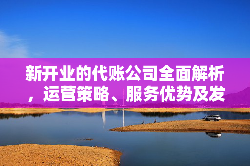 新开业的代账公司全面解析，运营策略、服务优势及发展前景探讨