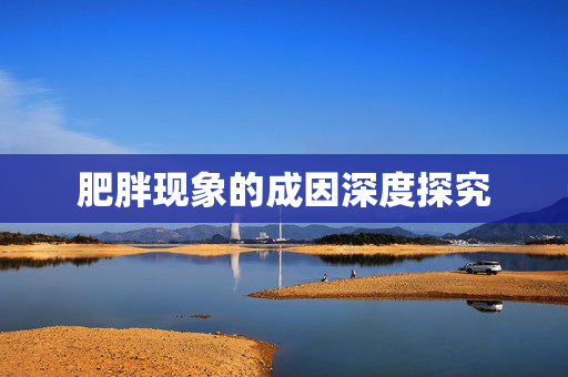 肥胖现象的成因深度探究