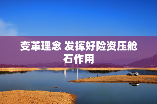变革理念 发挥好险资压舱石作用