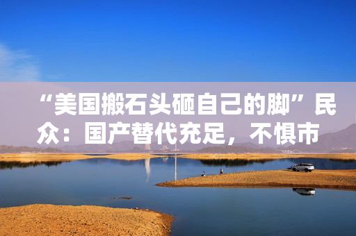 “美国搬石头砸自己的脚”民众：国产替代充足，不惧市场变化