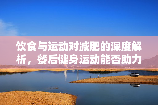 饮食与运动对减肥的深度解析，餐后健身运动能否助力减重？
