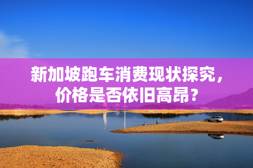 新加坡跑车消费现状探究，价格是否依旧高昂？
