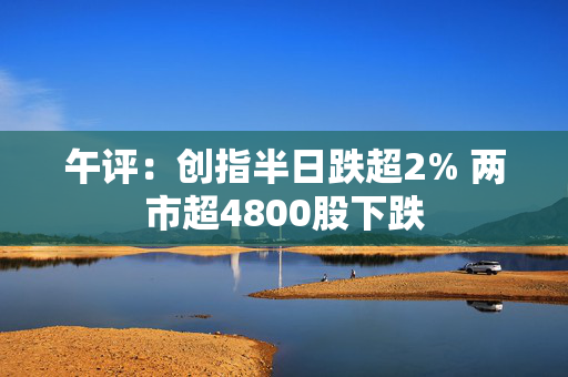 午评：创指半日跌超2% 两市超4800股下跌