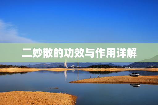 二妙散的功效与作用详解