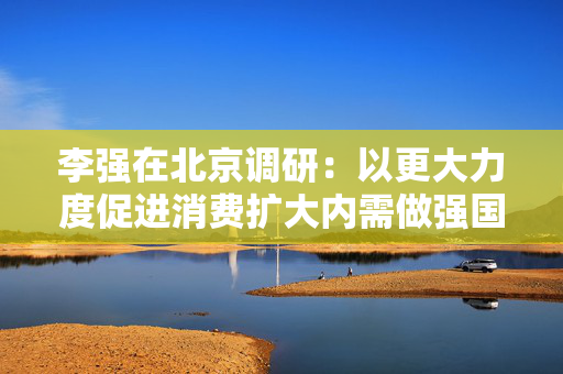 李强在北京调研：以更大力度促进消费扩大内需做强国内大循环