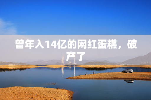 曾年入14亿的网红蛋糕，破产了