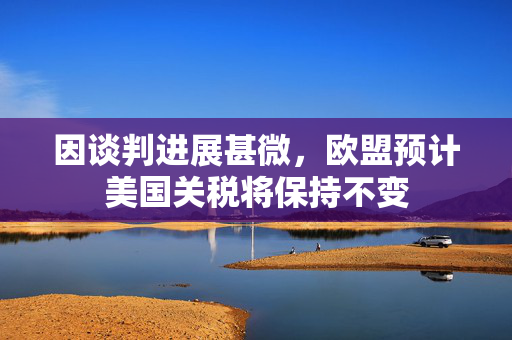 因谈判进展甚微，欧盟预计美国关税将保持不变