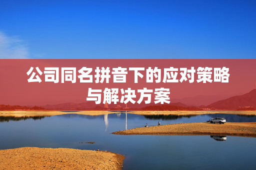 公司同名拼音下的应对策略与解决方案