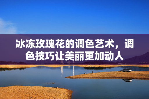 冰冻玫瑰花的调色艺术，调色技巧让美丽更加动人