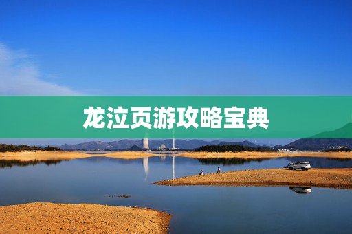 龙泣页游攻略宝典