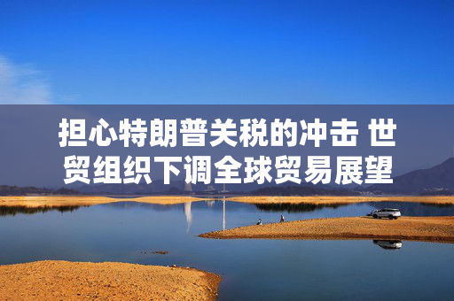 担心特朗普关税的冲击 世贸组织下调全球贸易展望