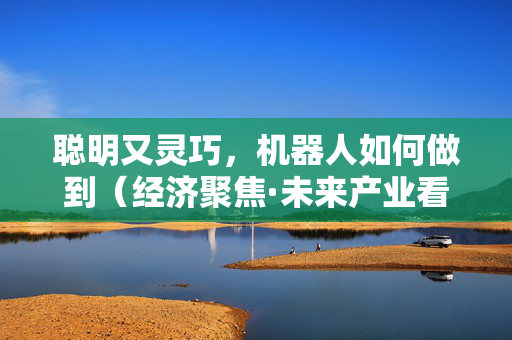 聪明又灵巧，机器人如何做到（经济聚焦·未来产业看未来）