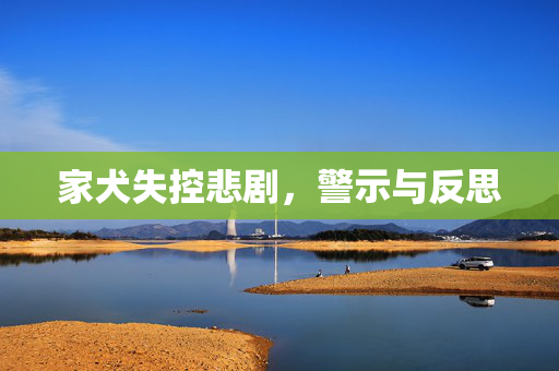 家犬失控悲剧，警示与反思