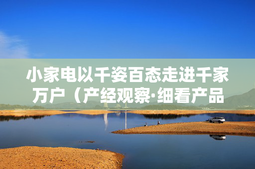 小家电以千姿百态走进千家万户（产经观察·细看产品七十二变①）