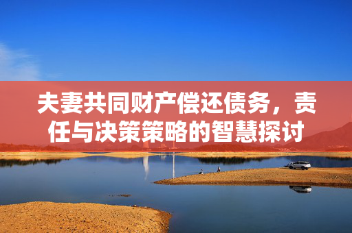 夫妻共同财产偿还债务，责任与决策策略的智慧探讨